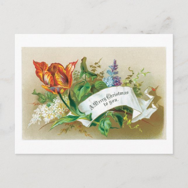 Cartes Pour Fêtes Annuelles Noël à l'ancienne, Fleur (Devant)