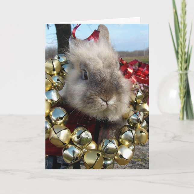Cartes Pour Fêtes Annuelles Noël à Lionhead Bunny (Devant)