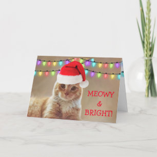 Cartes Pour Fêtes Annuelles Noël à Meowy et Bright Cat