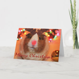 Cartes Pour Fêtes Annuelles Noël à Rednose