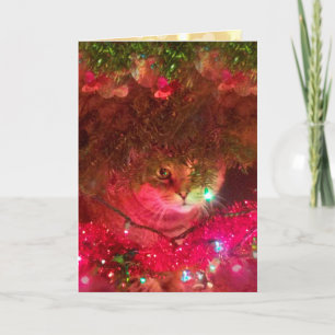 Cartes Pour Fêtes Annuelles Noël à Rupie Sparkly