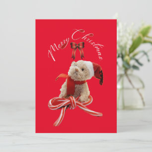 Cartes Pour Fêtes Annuelles Noël à Teddy Bear