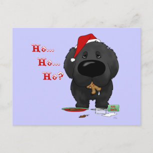 Cartes Pour Fêtes Annuelles Noël à Terre-Neuve