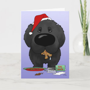 Cartes Pour Fêtes Annuelles Noël à Terre-Neuve