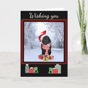 Cartes Pour Fêtes Annuelles Noël à Terre-Neuve