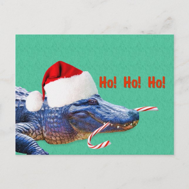 Cartes Pour Fêtes Annuelles Noël, Alligator avec Santa Hat (Devant)