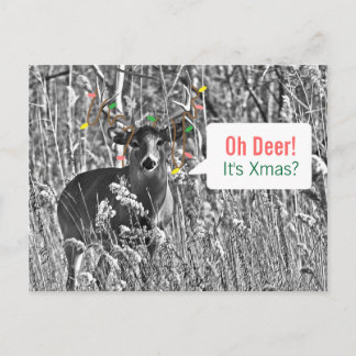 Cartes Pour Fêtes Annuelles Noël amusant - Cerf aux lumières de Noël