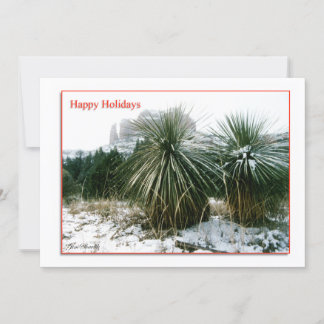Cartes Pour Fêtes Annuelles Noël Arizona