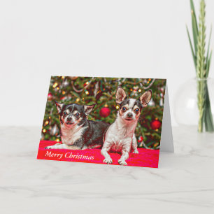 Cartes Pour Fêtes Annuelles Noël au Chihuahua