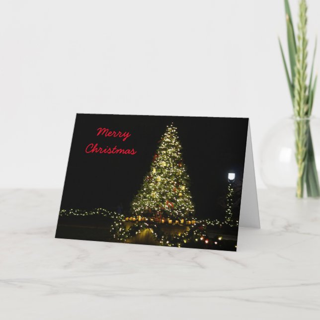 Cartes Pour Fêtes Annuelles Noël au Missouri Botanical Garden (Devant)