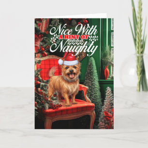 Cartes Pour Fêtes Annuelles Noel australien Terrier Chien Naughty ou Nice