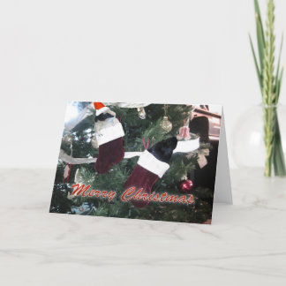 Cartes Pour Fêtes Annuelles Noël aux cochons de Guinée