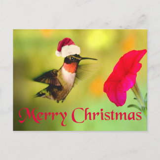 Cartes Pour Fêtes Annuelles Noël aux colibris de Santa Hat