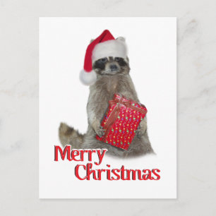 Cartes Pour Fêtes Annuelles Noël Bandit Raccoon avec présent