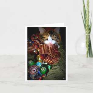 Cartes Pour Fêtes Annuelles Noël bariolé