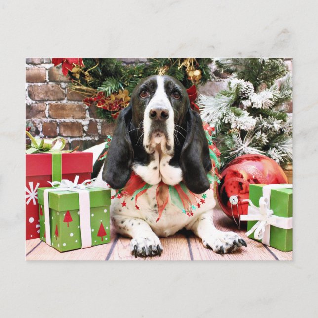 Cartes Pour Fêtes Annuelles Noël - Basset Hound - Jasmine (Devant)