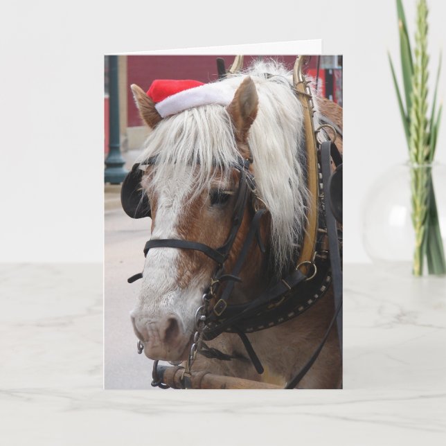 Cartes Pour Fêtes Annuelles Noël belge de cheval de trait (Devant)