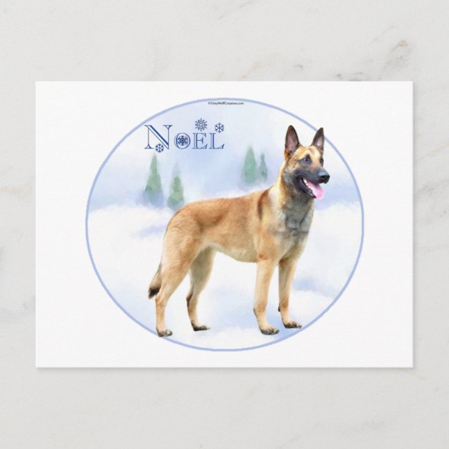 Cartes Pour Fêtes Annuelles Noel Belge Malinois (Devant)