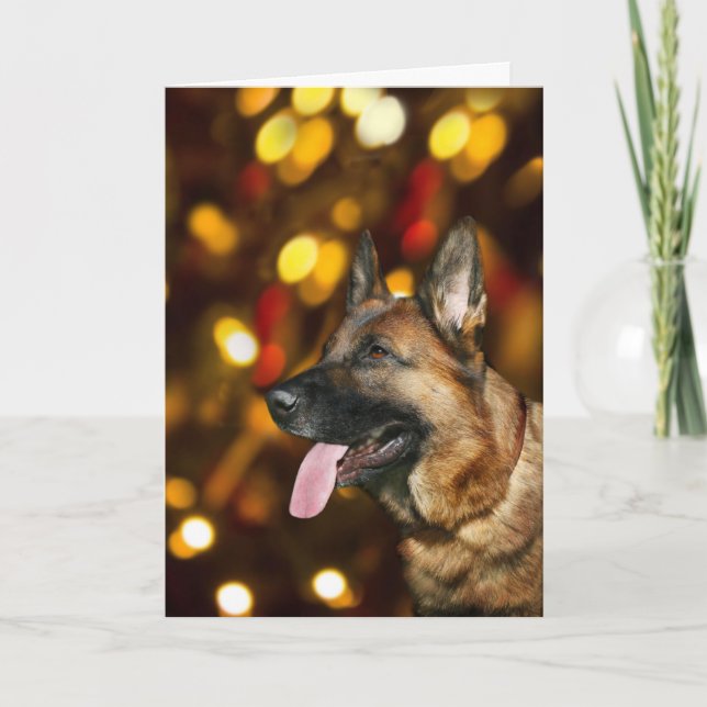 Cartes Pour Fêtes Annuelles Noël berger allemand (Devant)