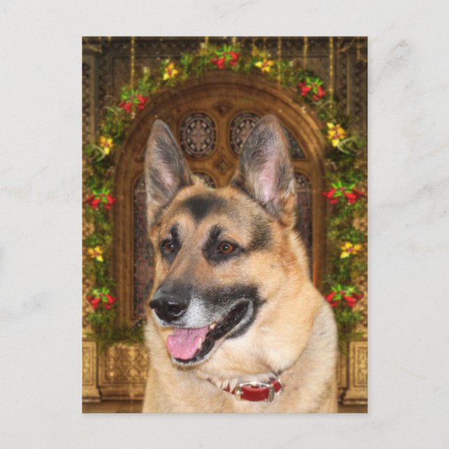 Cartes Pour Fêtes Annuelles Noël berger allemand (Devant)