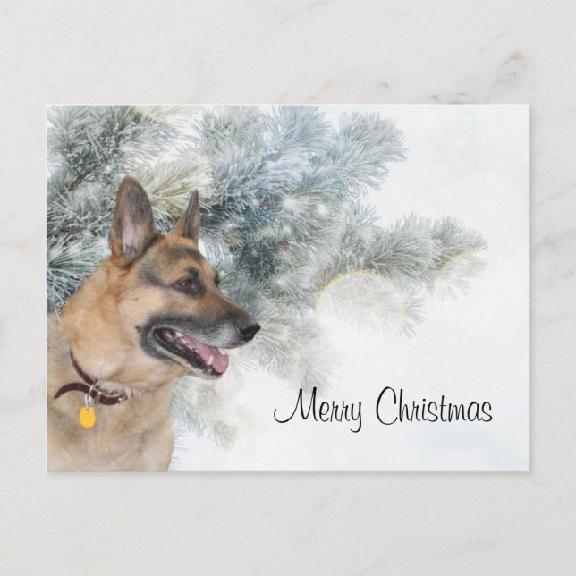 Cartes Pour Fêtes Annuelles Noël berger allemand (Devant)