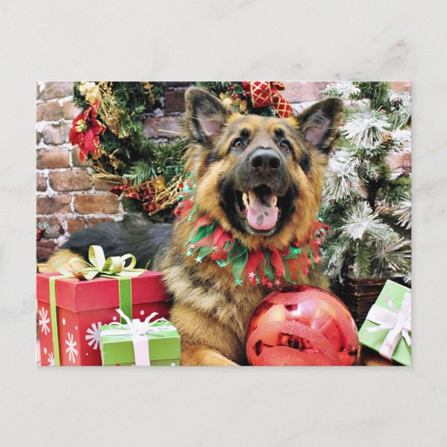 Cartes Pour Fêtes Annuelles Noël - Berger allemand - Thor (Devant)