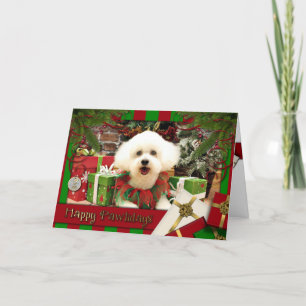 Cartes Pour Fêtes Annuelles Noël - Bichon Frise - Lilly
