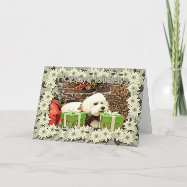 Cartes Pour Fêtes Annuelles Noël - Bichon Frise - tonnelier (Devant)