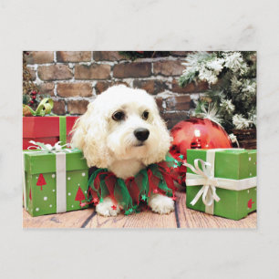 Cartes Pour Fêtes Annuelles Noël - Bichon Frise X - Bella