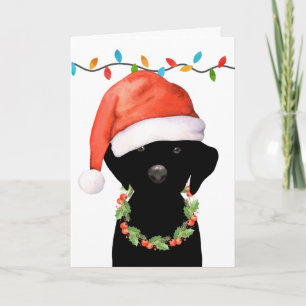 Cartes Pour Fêtes Annuelles Noël Black Labrador Père Noël Chien