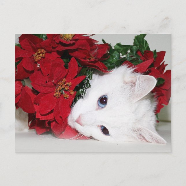 Cartes Pour Fêtes Annuelles Noël blanc (Devant)