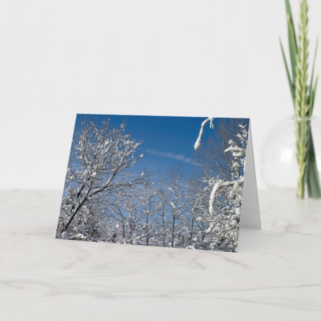 Cartes Pour Fêtes Annuelles Noël blanc (Devant)