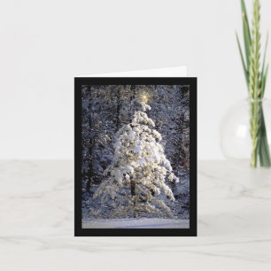 Cartes Pour Fêtes Annuelles Noël blanc