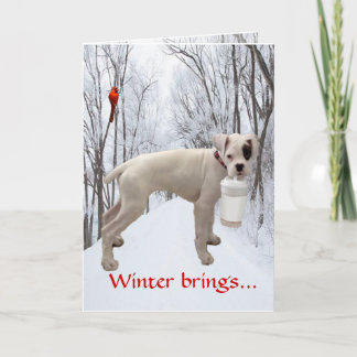 Cartes Pour Fêtes Annuelles Noël blanc de boxeur