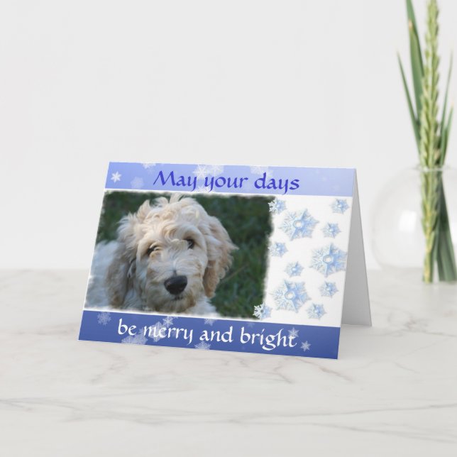 Cartes Pour Fêtes Annuelles Noël blanc de chien de griffonnage avec le vers (Devant)