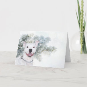 Cartes Pour Fêtes Annuelles Noël blanc de pitbull