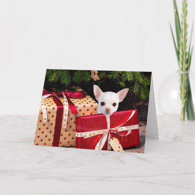 Cartes Pour Fêtes Annuelles Noël blanc du Chihuahua (Devant)