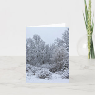 Cartes Pour Fêtes Annuelles Noël blanc hiver Windsor