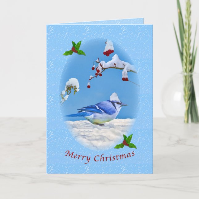 Cartes Pour Fêtes Annuelles Noël, Blue Jay Bird et neige (Devant)
