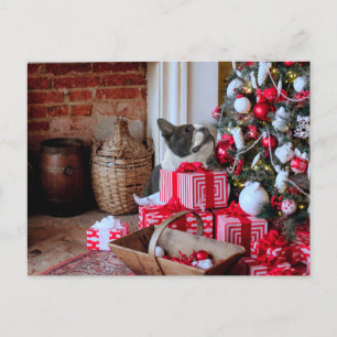 Cartes Pour Fêtes Annuelles Noël Boston Terrier