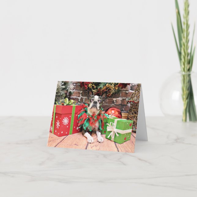 Cartes Pour Fêtes Annuelles Noël - Boston Terrier - Natty (Devant)
