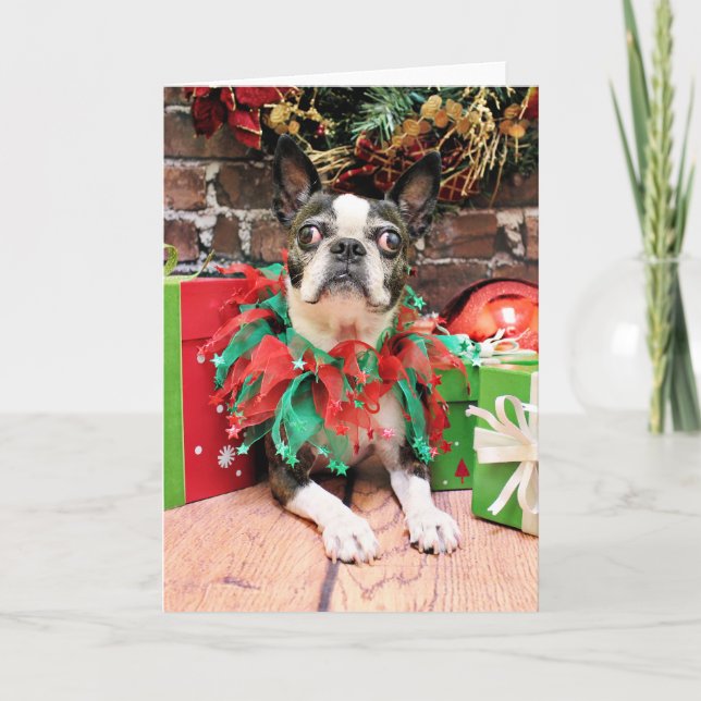 Cartes Pour Fêtes Annuelles Noël - Boston Terrier - Natty (Devant)