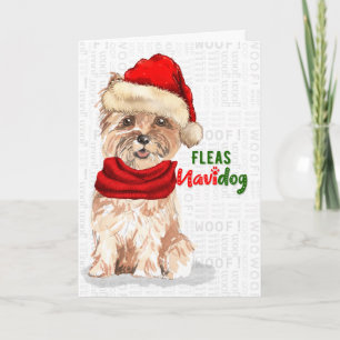 Cartes Pour Fêtes Annuelles Noël Cairn Terrier Chien Fleas NaviDOG