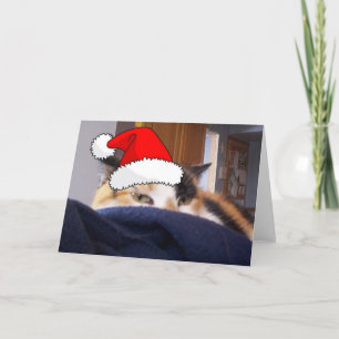 Cartes Pour Fêtes Annuelles Noël Calico