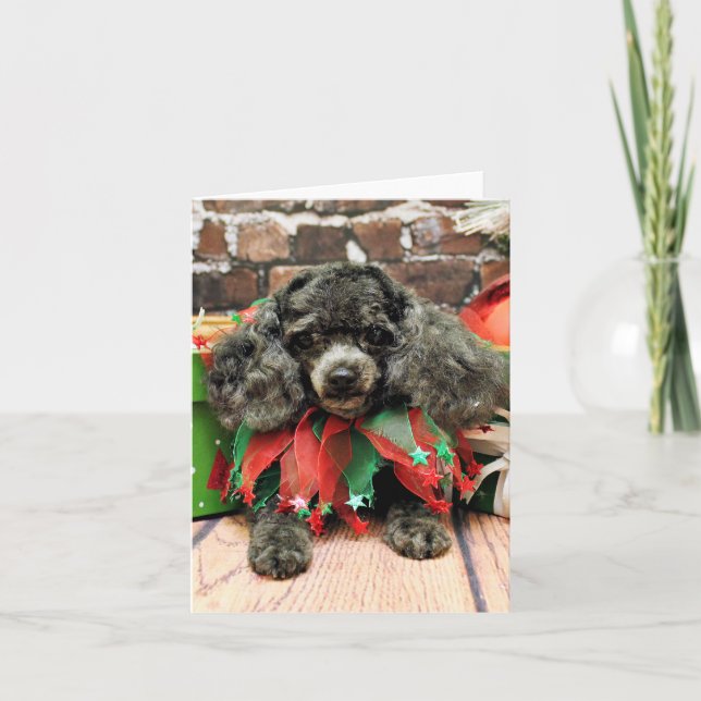Cartes Pour Fêtes Annuelles Noël - caniche de jouet - Annie (Devant)