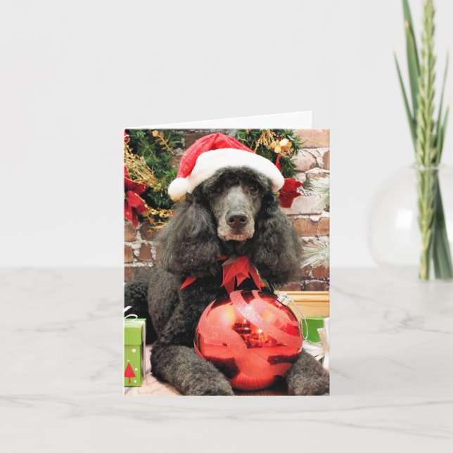 Cartes Pour Fêtes Annuelles Noël - caniche - lis (Devant)