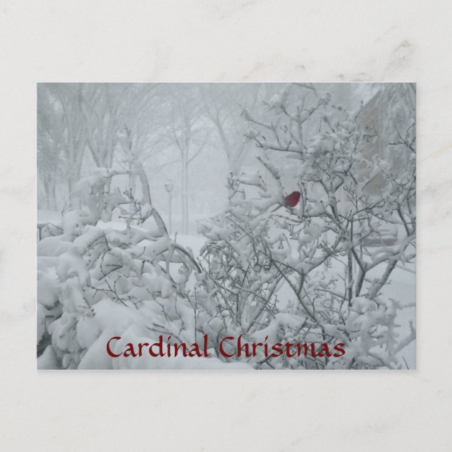 Cartes Pour Fêtes Annuelles Noël cardinal (Devant)