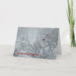 Cartes Pour Fêtes Annuelles Noël cardinal