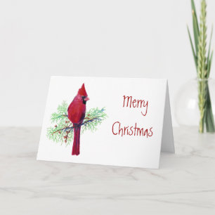 Cartes Pour Fêtes Annuelles Noël, Cardinal, Oiseau, Nature des oiseaux, Faune