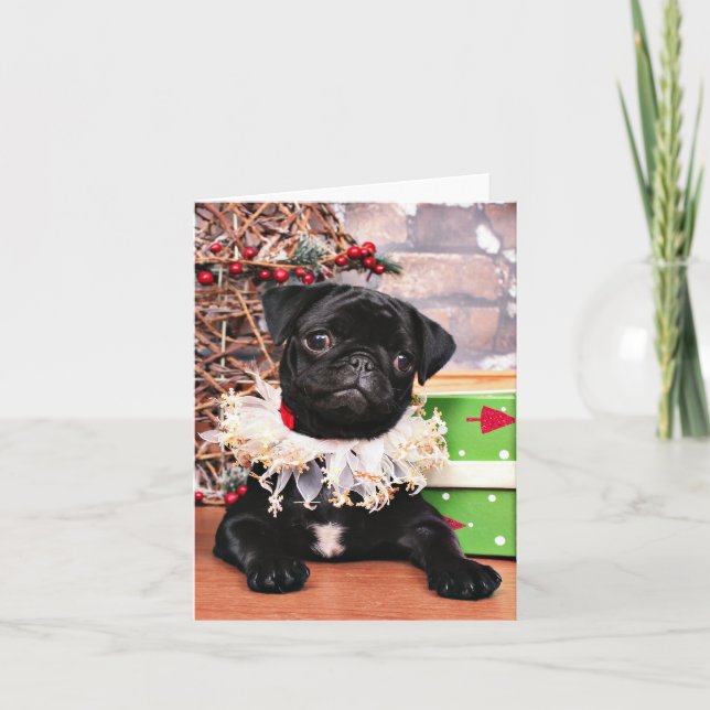 Cartes Pour Fêtes Annuelles Noël - Carlin - Daisy Mae (Devant)